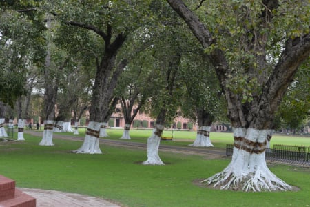 Aitchison's Environment