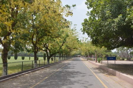 Aitchison's Environment