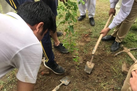 Aitchison's Environment