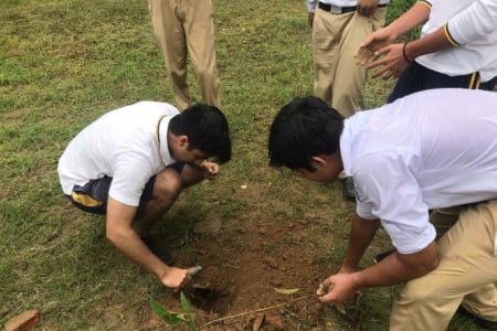 Aitchison's Environment