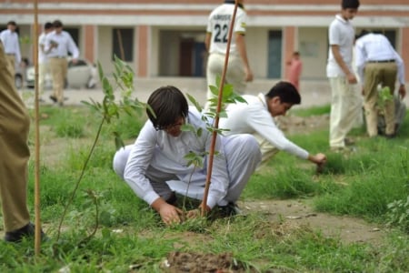 Aitchison's Environment