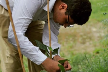 Aitchison's Environment